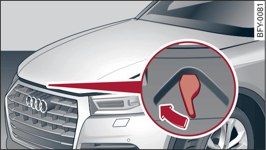 Илл. 322 Открытая крышка моторного отсека: рычаг